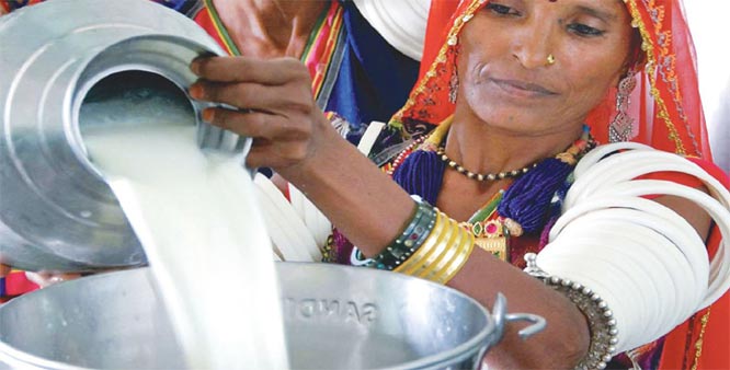 Exportation de lait Inde
